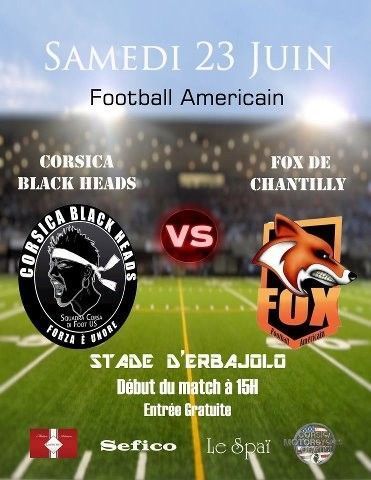 Des match de football américain